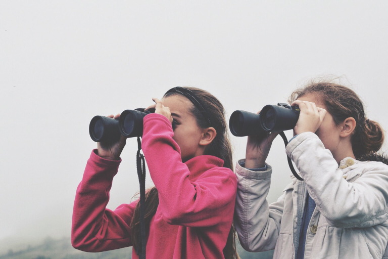 Site SEO Analizi / Raporu Çözümlerimiz