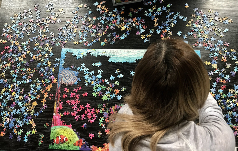 Veri Görselleştirme